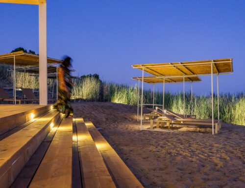 Progettazione Giardini a Palermo: Guida Pratica per Realizzare il Tuo Spazio Verde